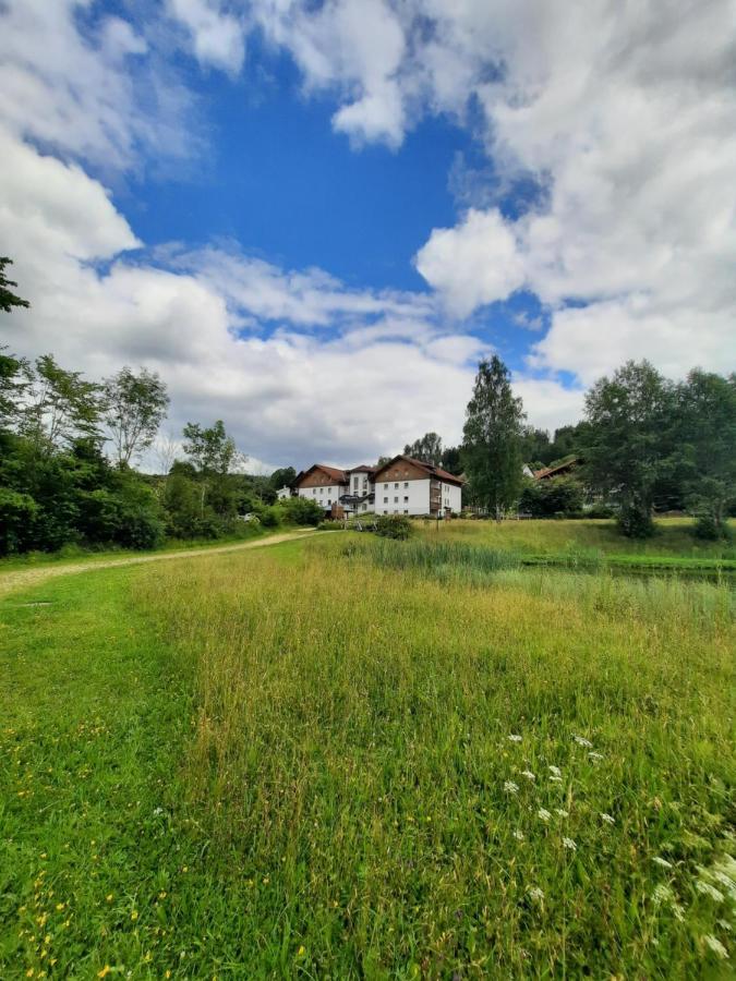 Arberapartment Bayerisch Eisenstein Zewnętrze zdjęcie
