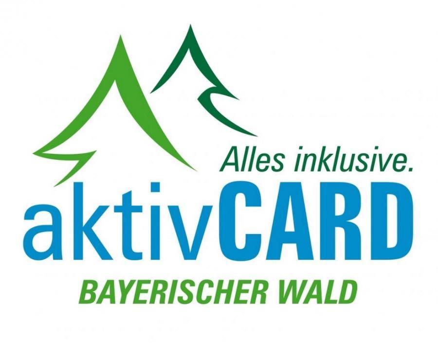 Arberapartment Bayerisch Eisenstein Zewnętrze zdjęcie